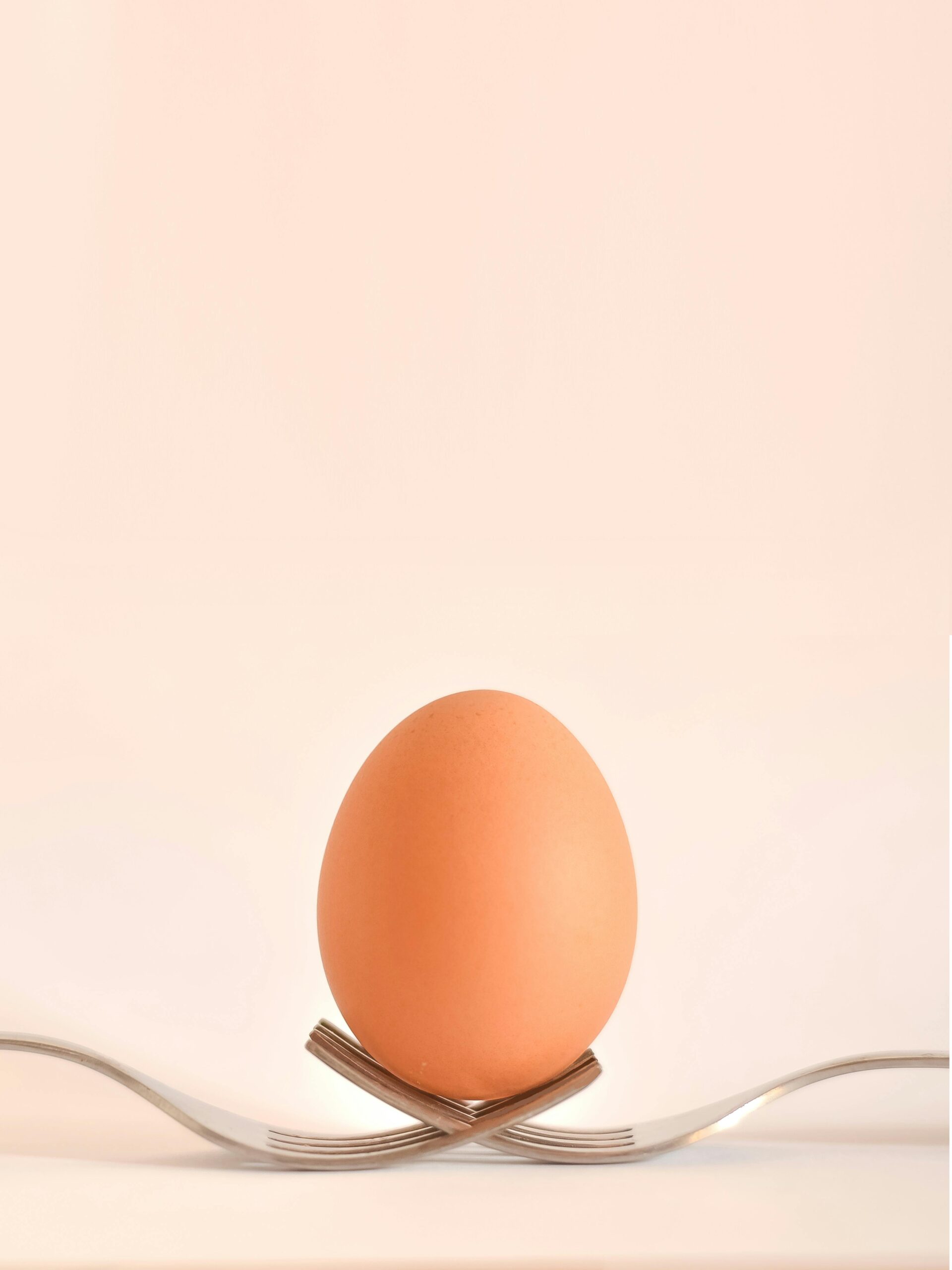 Picture of one chickens eggs being held with two forks and a pink background.